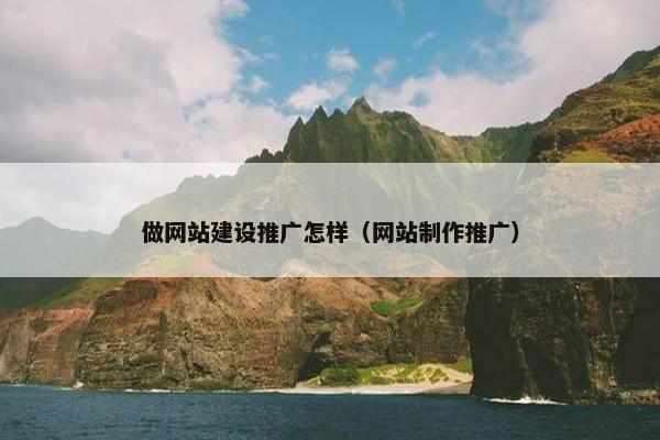 做网站建设推广怎样（网站制作推广）