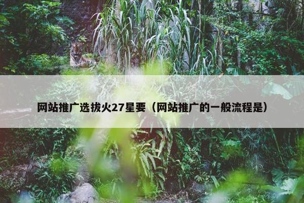 网站推广选拔火27星要（网站推广的一般流程是）