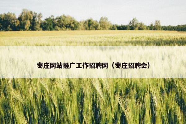 枣庄网站推广工作招聘网（枣庄招聘会）