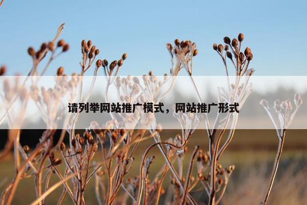 请列举网站推广模式，网站推广形式