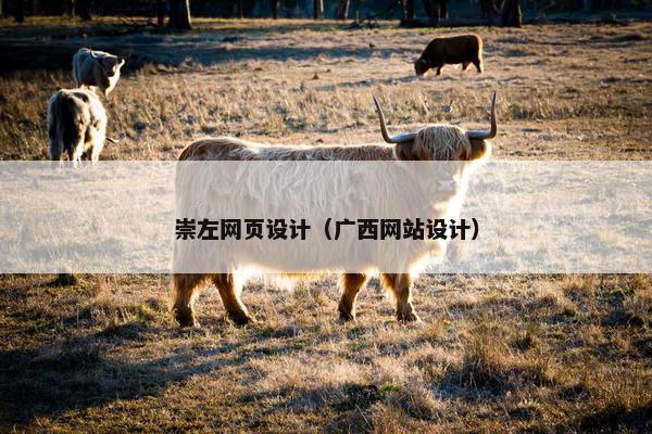 崇左网页设计（广西网站设计）
