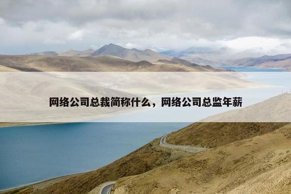 网络公司总裁简称什么，网络公司总监年薪