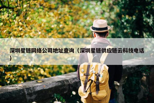 深圳星链网络公司地址查询（深圳星链供应链云科技电话）