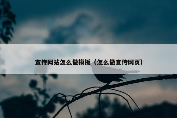 宣传网站怎么做模板（怎么做宣传网页）