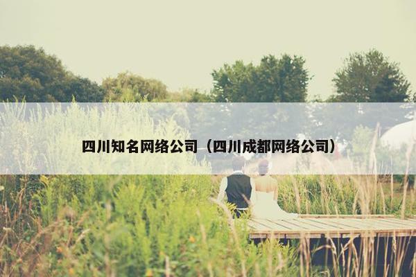四川知名网络公司（四川成都网络公司）