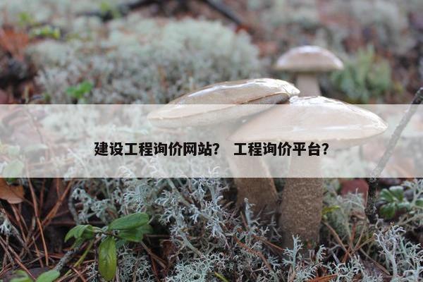 建设工程询价网站？ 工程询价平台？