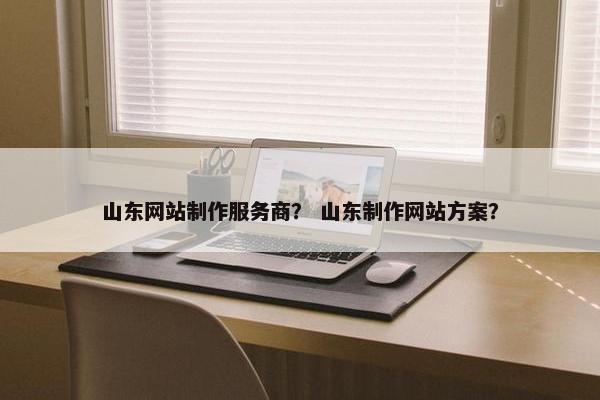 山东网站制作服务商？ 山东制作网站方案？