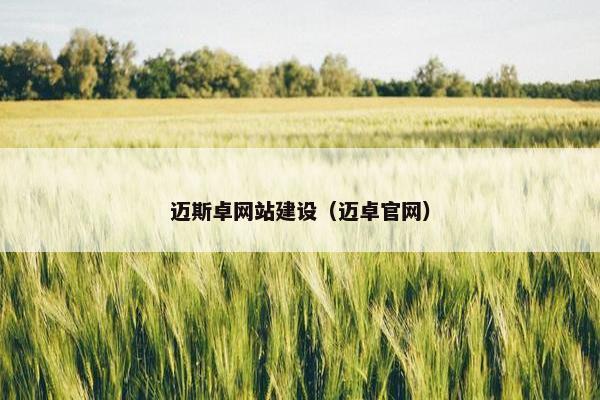 迈斯卓网站建设（迈卓官网）