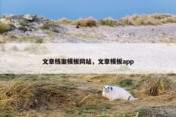文章档案模板网站，文章模板app