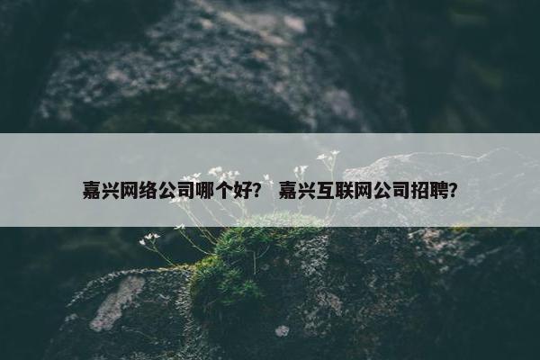 嘉兴网络公司哪个好？ 嘉兴互联网公司招聘？