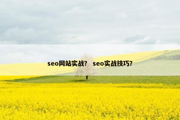 seo网站实战？ seo实战技巧？