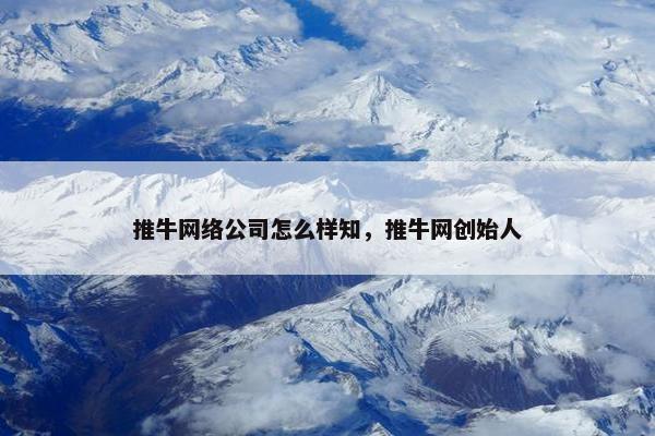 推牛网络公司怎么样知，推牛网创始人