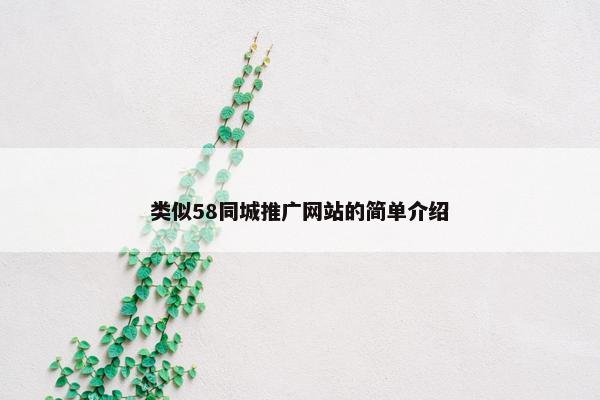类似58同城推广网站的简单介绍