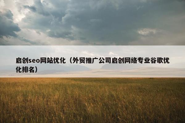 启创seo网站优化（外贸推广公司启创网络专业谷歌优化排名）