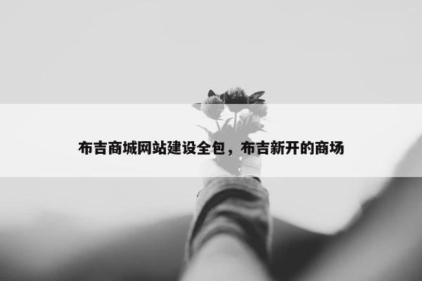 布吉商城网站建设全包，布吉新开的商场