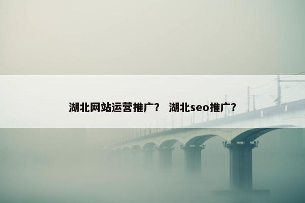 湖北网站运营推广？ 湖北seo推广？