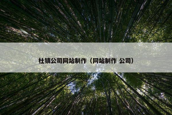 杜镇公司网站制作（网站制作 公司）