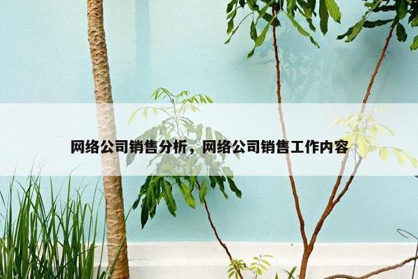 网络公司销售分析，网络公司销售工作内容