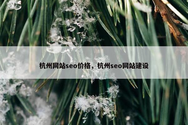杭州网站seo价格，杭州seo网站建设