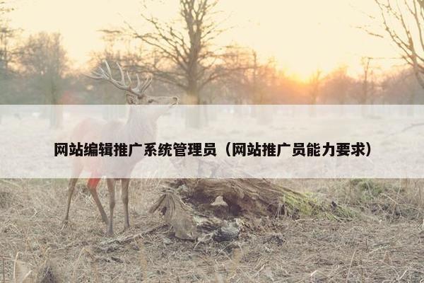 网站编辑推广系统管理员（网站推广员能力要求）