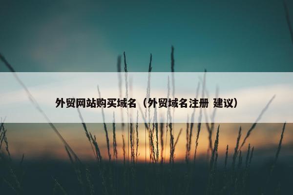 外贸网站购买域名（外贸域名注册 建议）