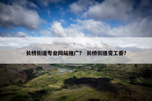 长桥街道专业网站推广？ 长桥街道党工委？