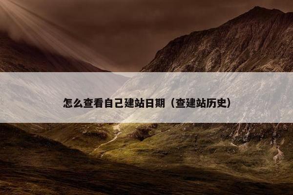 怎么查看自己建站日期（查建站历史）