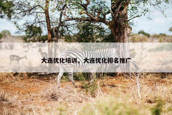 大连优化培训，大连优化排名推广