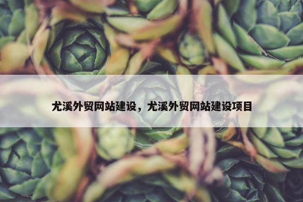 尤溪外贸网站建设，尤溪外贸网站建设项目