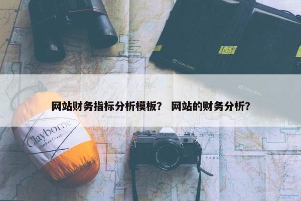 网站财务指标分析模板？ 网站的财务分析？