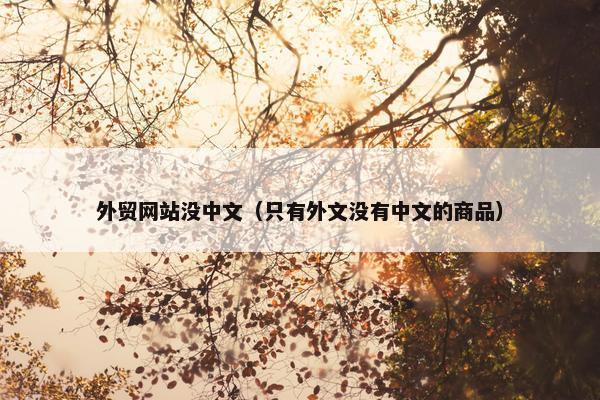 外贸网站没中文（只有外文没有中文的商品）
