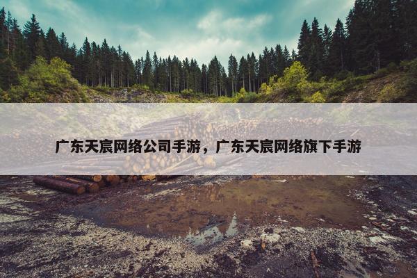 广东天宸网络公司手游，广东天宸网络旗下手游