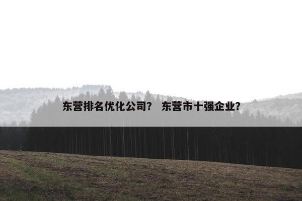 东营排名优化公司？ 东营市十强企业？