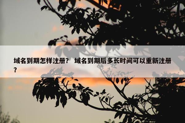 域名到期怎样注册？ 域名到期后多长时间可以重新注册？