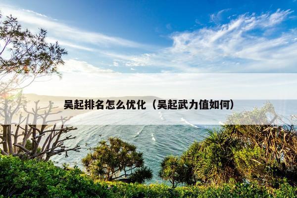 吴起排名怎么优化（吴起武力值如何）