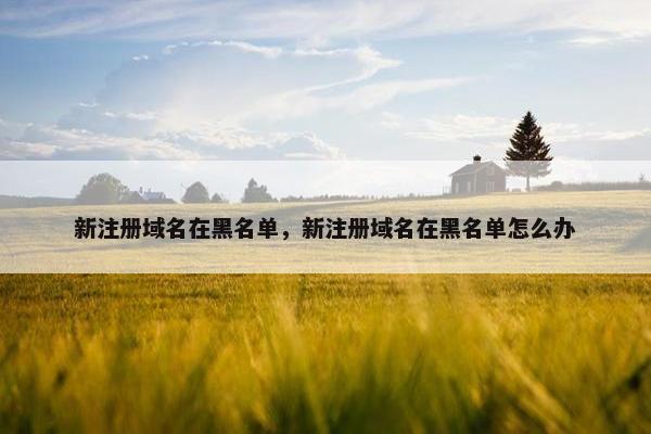 新注册域名在黑名单，新注册域名在黑名单怎么办