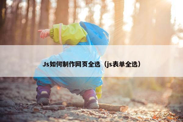 Js如何制作网页全选（js表单全选）