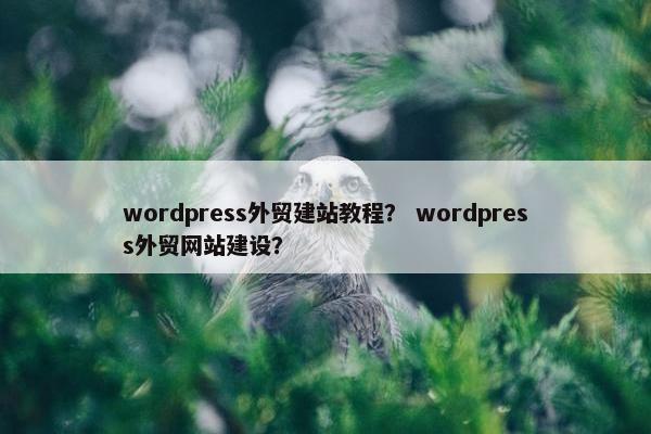 wordpress外贸建站教程？ wordpress外贸网站建设？