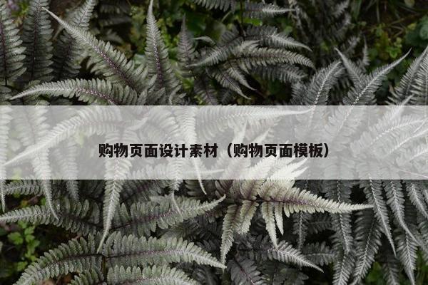 购物页面设计素材（购物页面模板）