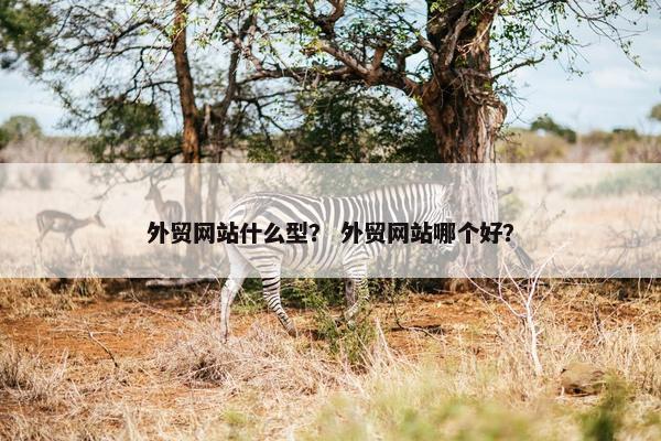 外贸网站什么型？ 外贸网站哪个好？