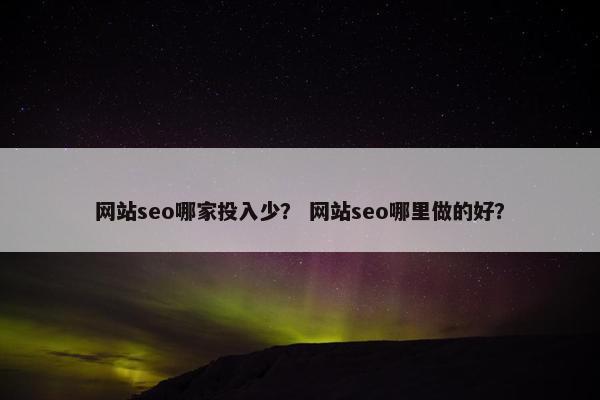 网站seo哪家投入少？ 网站seo哪里做的好？