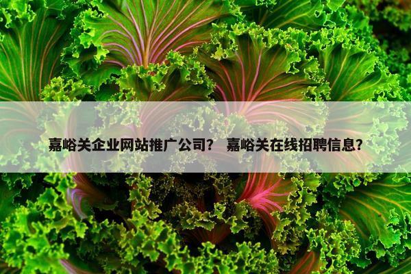 嘉峪关企业网站推广公司？ 嘉峪关在线招聘信息？