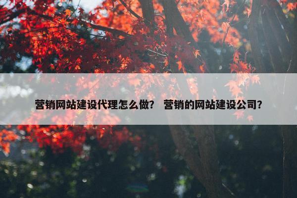 营销网站建设代理怎么做？ 营销的网站建设公司？