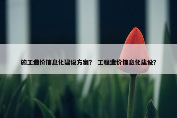 施工造价信息化建设方案？ 工程造价信息化建设？