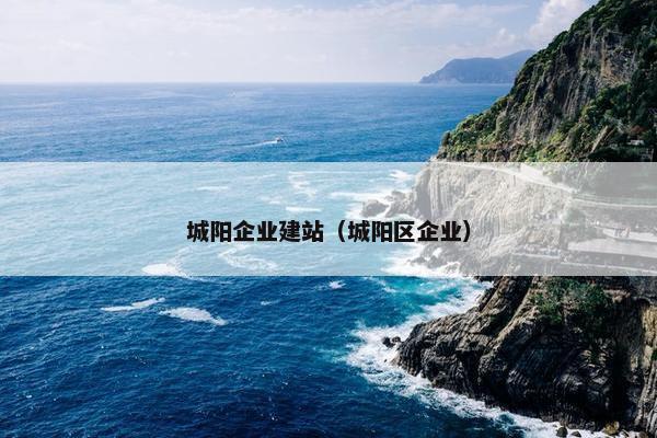 城阳企业建站（城阳区企业）