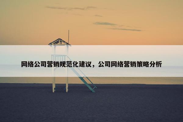 网络公司营销规范化建议，公司网络营销策略分析