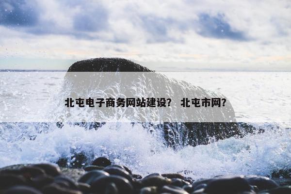 北屯电子商务网站建设？ 北屯市网？