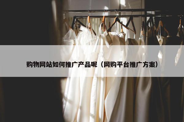 购物网站如何推广产品呢（网购平台推广方案）