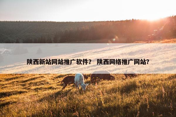 陕西新站网站推广软件？ 陕西网络推广网站？