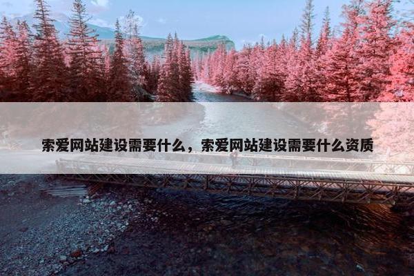 索爱网站建设需要什么，索爱网站建设需要什么资质
